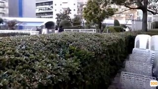 最新成人视频🔞草莓视频网站在地址㊙️免费不卡观看